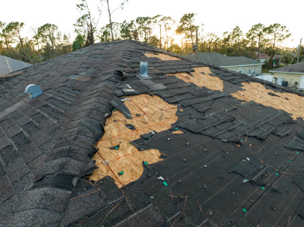 Best Roof Insulation Installation  in North Muskegon, MI