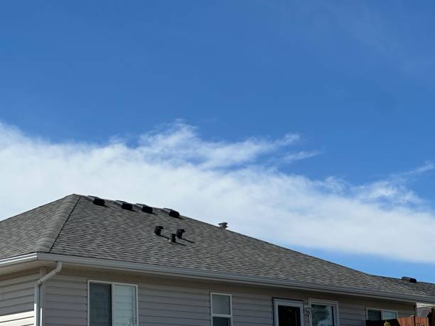 Emergency Roof Repair in North Muskegon, MI